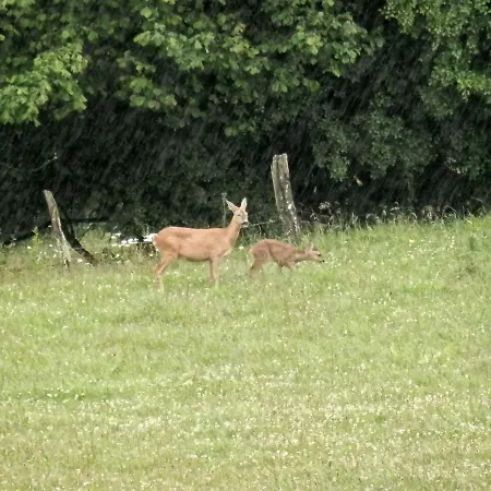 Luxurious Farmhouse Near The Ski Area * 헬렌탈
