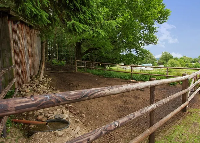 Luxurious Farmhouse Near The Ski Area 黑伦塔尔